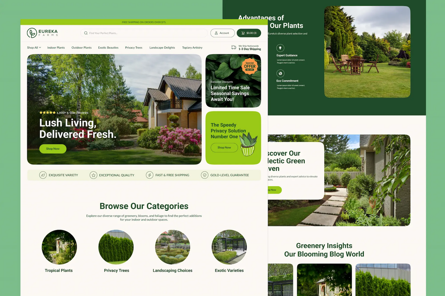 Custom Shopify Store Design & Development