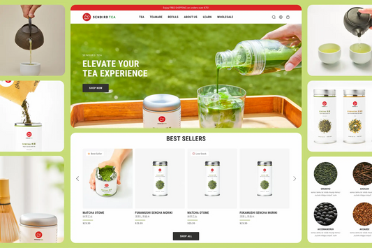 Custom Shopify Store Design & Development